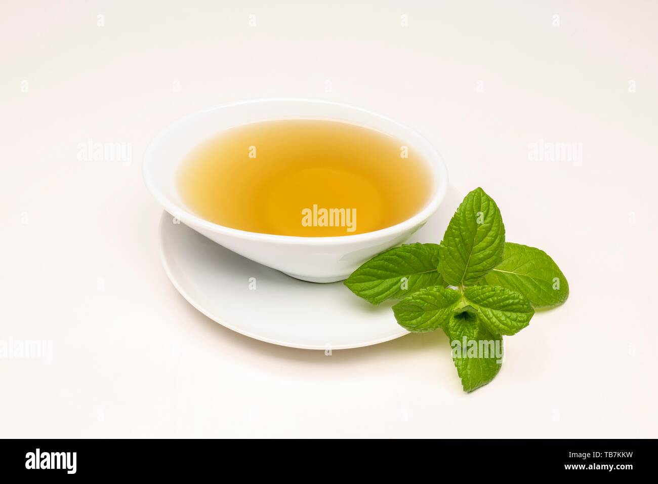 Il tè di menta piperita (Mentha x piperita), intaglio, Germania Foto Stock