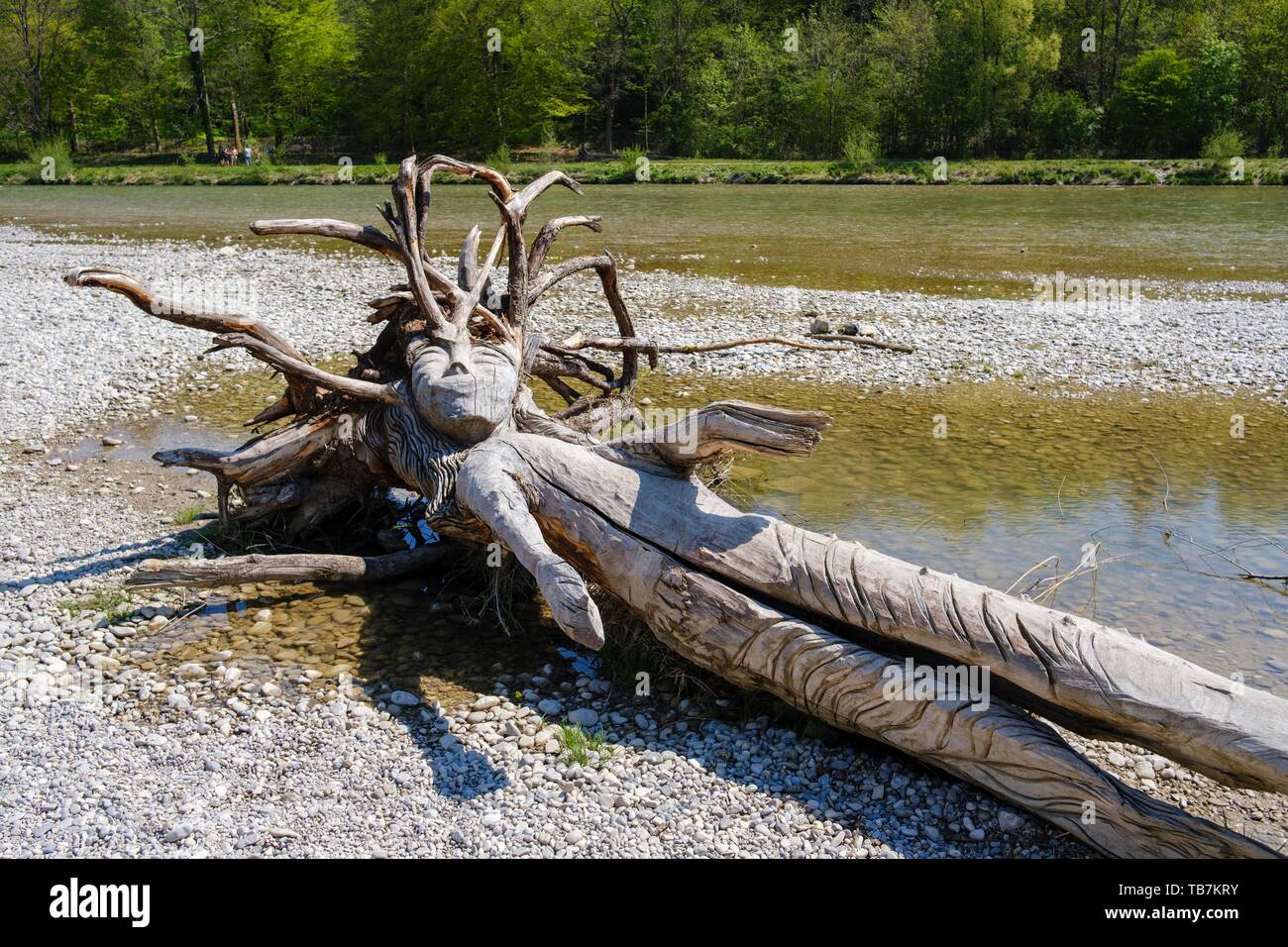 Abilmente figura scolpita da un tronco di albero sulla riva del fiume, Isar, distretto Thalkirchen, Monaco di Baviera, Baviera, Baviera, Germania Foto Stock