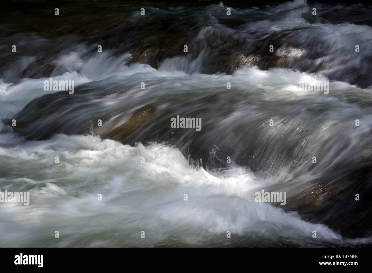 Rapide del fiume Obere Argen, gorge Eistobel, Westallgau, Baden-Württemberg, Germania Foto Stock