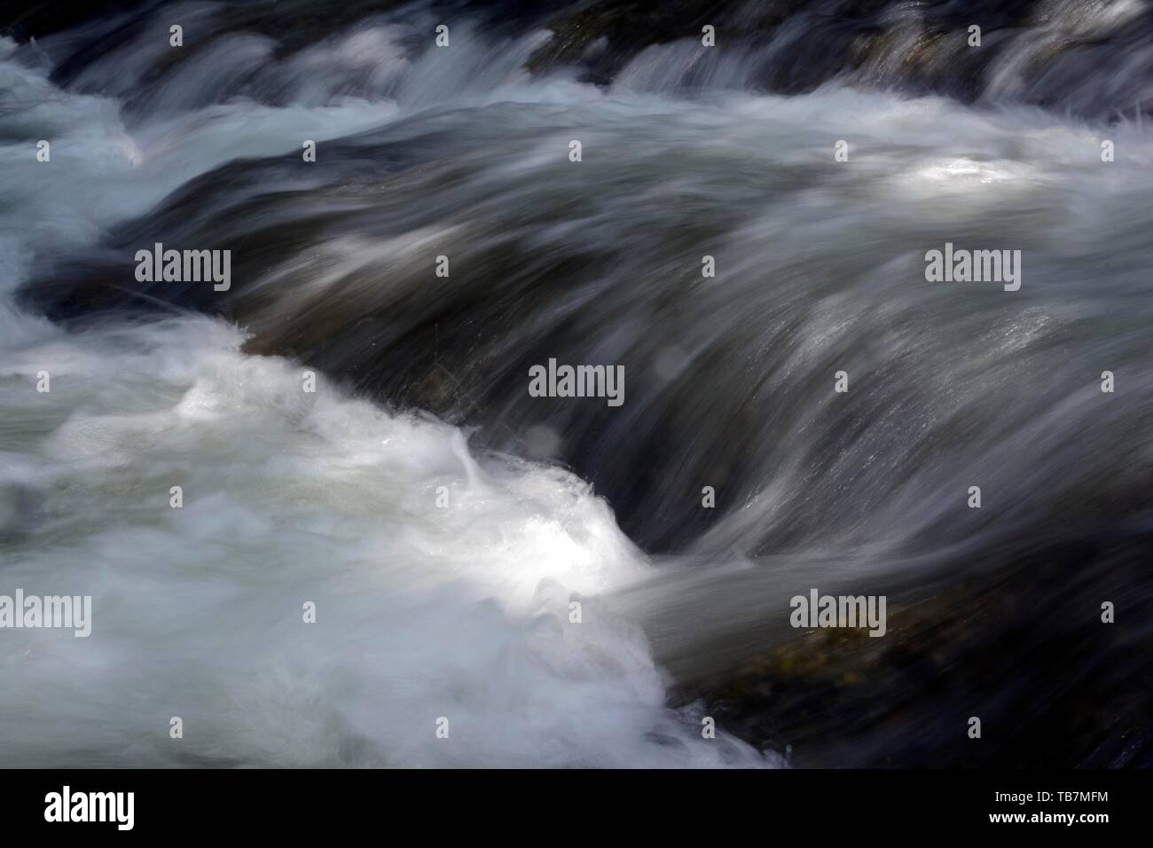Rapide del fiume Obere Argen, gorge Eistobel, Westallgau, Baden-Württemberg, Germania Foto Stock