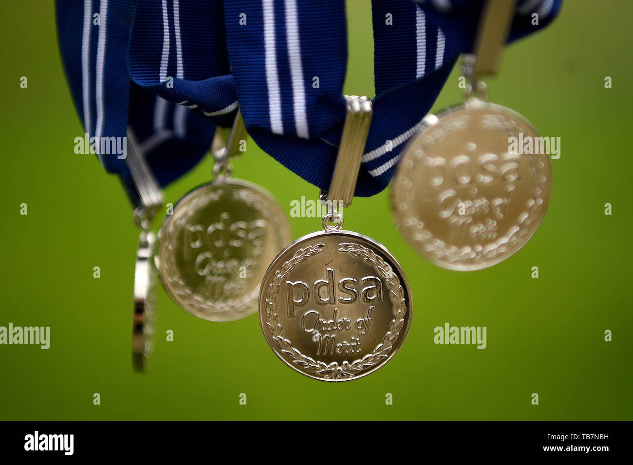Un certo numero di PDSA Animal OBE, che sono stati ricevuti dalla polizia cani, all'Onorevole Compagnia di Artiglieria a Londra. Foto Stock