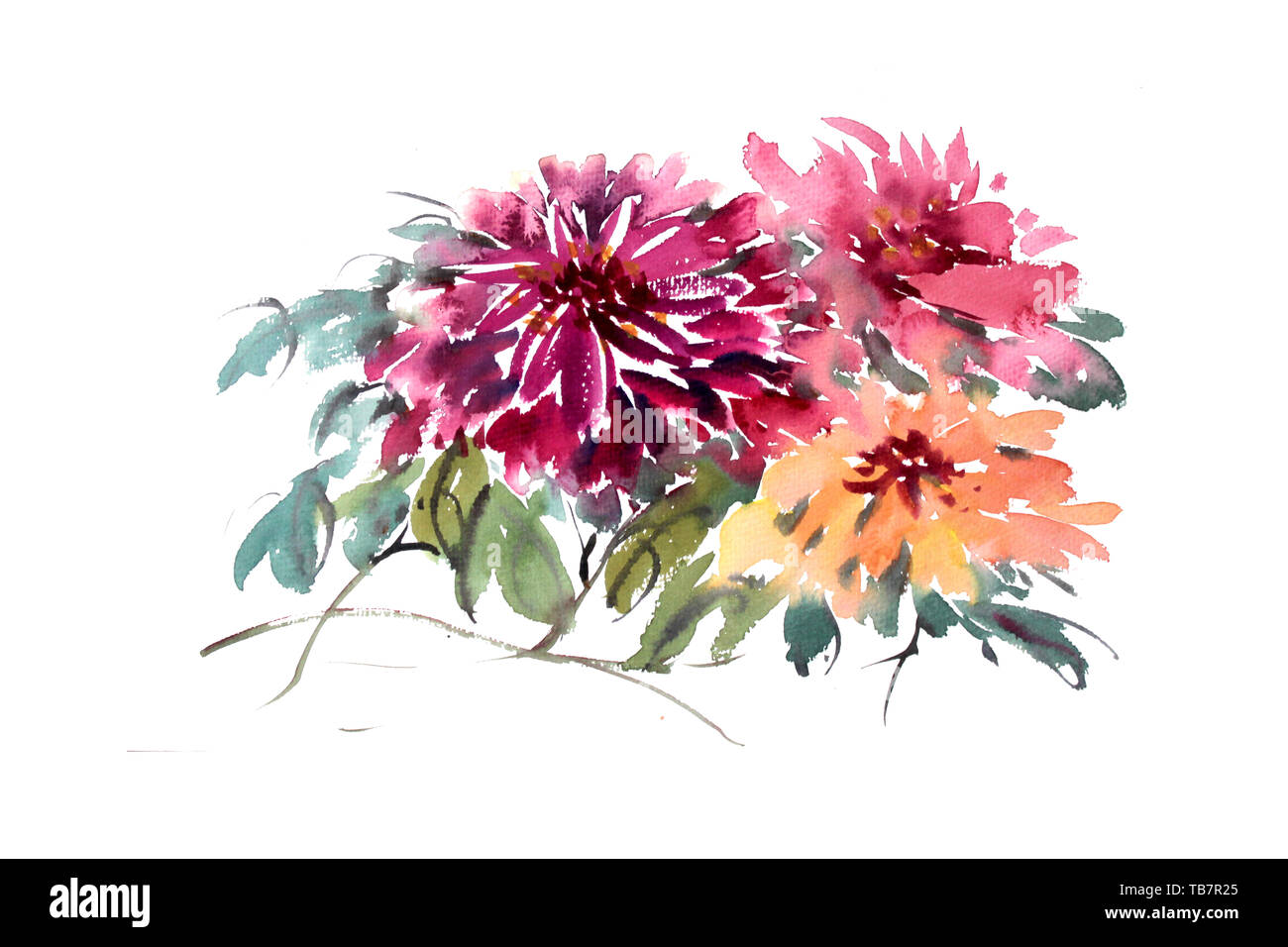 Illustrazione del crisantemo impianto decorativo design petali di carta da parati bouquet floreale disegnati a mano pittura pattern Foto Stock