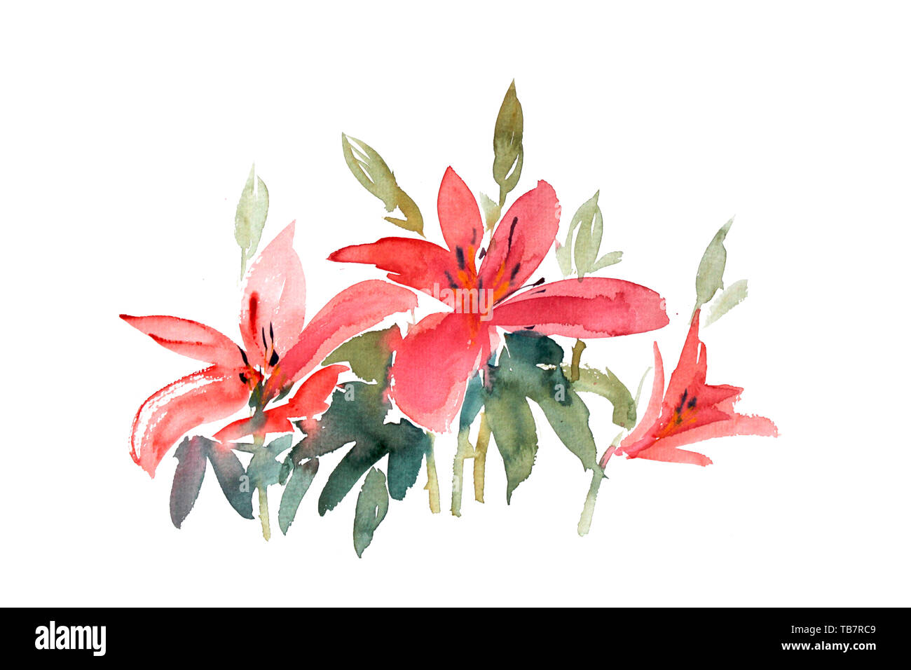 Flower illustrazione tecnica di sfondo acquerello naturali texture design bloom impianto bella bella Foto Stock