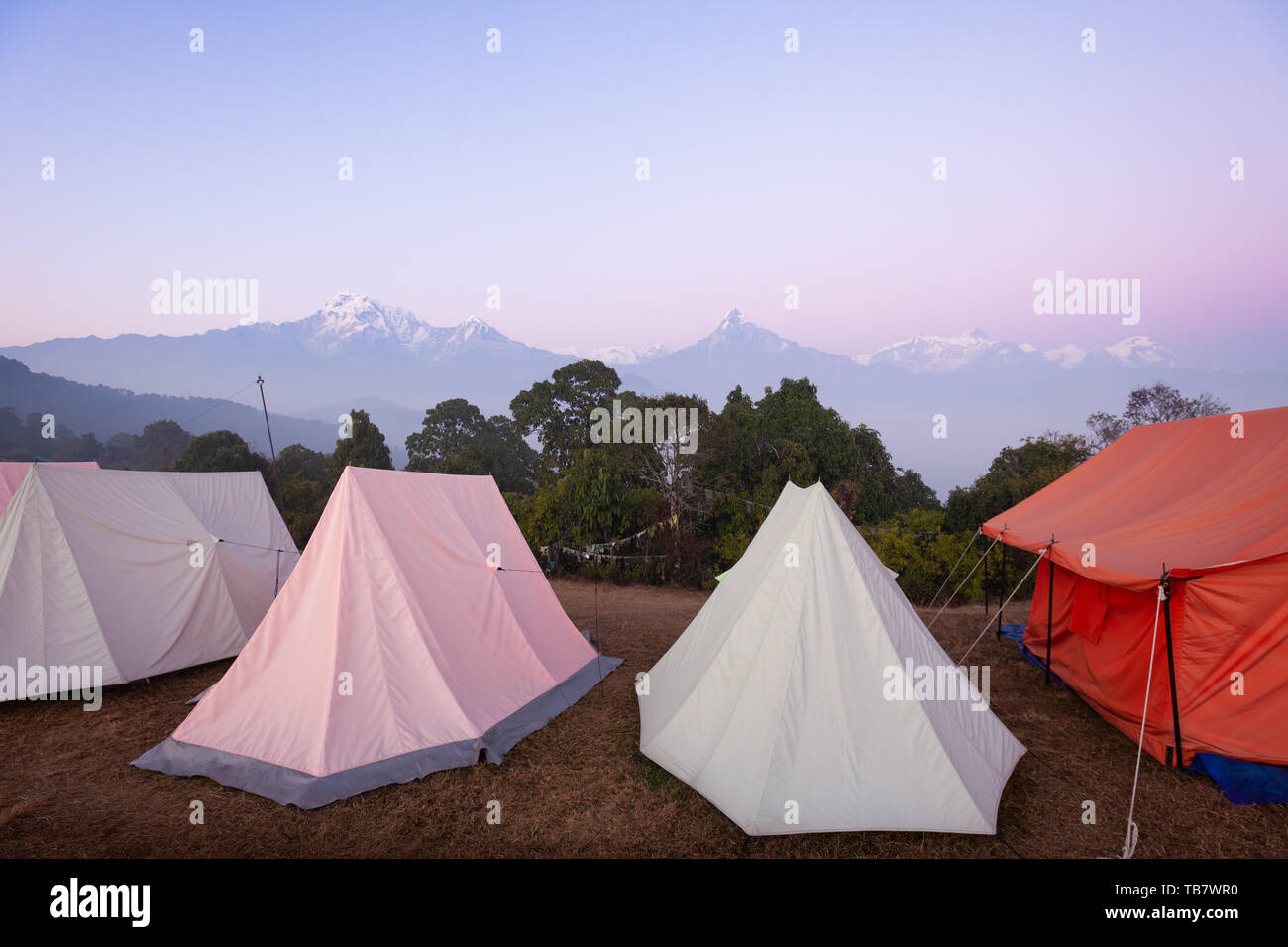 Tende impostato per il gruppo campeggi nella regione di Annapurna, Nepal Foto Stock