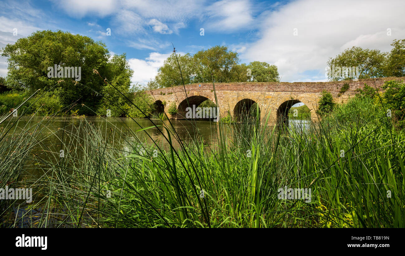 Il 15 ° secolo Pershore Vecchio ponte sul fiume Avon, Worcestershire, Inghilterra Foto Stock