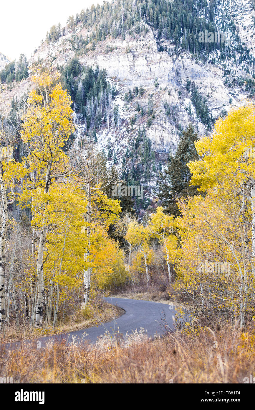Loop alpino, Utah County, giallo aspen e alberi torreggianti picchi di montagna Foto Stock