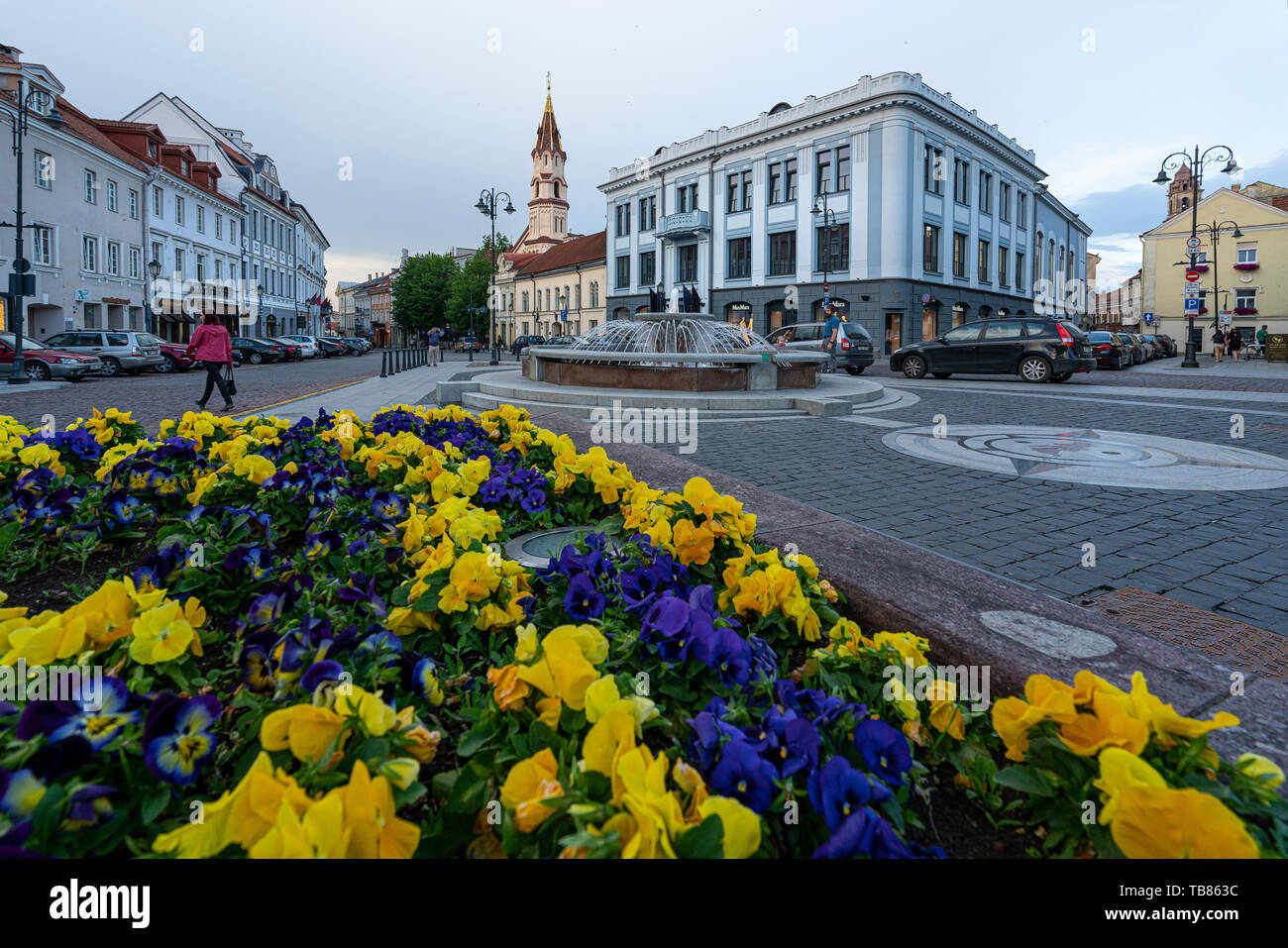 Vilnius, Lituania. Maggio 2019. Una vista di Piazza Municipio Fontana Foto Stock