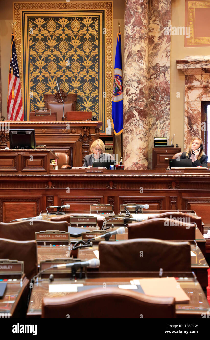 Minnesota Camera del Senato in Minnesota State Capitol.San Paolo.Minnesota.USA Foto Stock