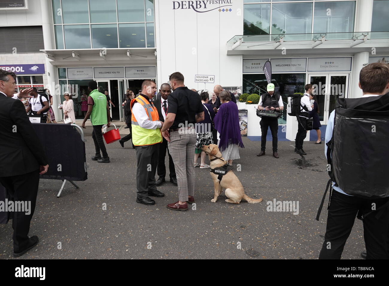 Epsom Downs, Surrey, Regno Unito. 31 Maggio, 2019. Scene atmosferica di scommettitori prima di iniziare la corsa alla Investec Derby Festival - il Signore giorno, classic corsa di cavalli. Credito: Motofoto/Alamy Live News Foto Stock