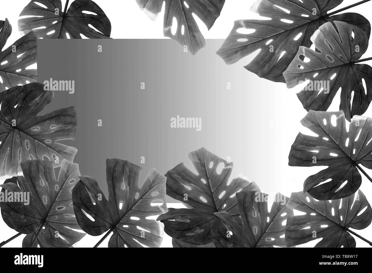 Layout creativo fatto di colorate foglie tropicali su sfondo bianco. Estate minima nozione esotici con copia spazio. Disposizione di confine. Foto Stock