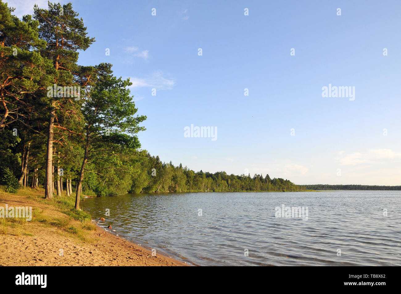 Bear Lake, Karujärv, Medve-tó, Estonia Foto Stock