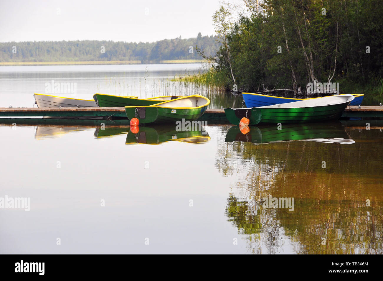 Barche sul Bear Lake, Karujärv, Medve-tó, Estonia Foto Stock