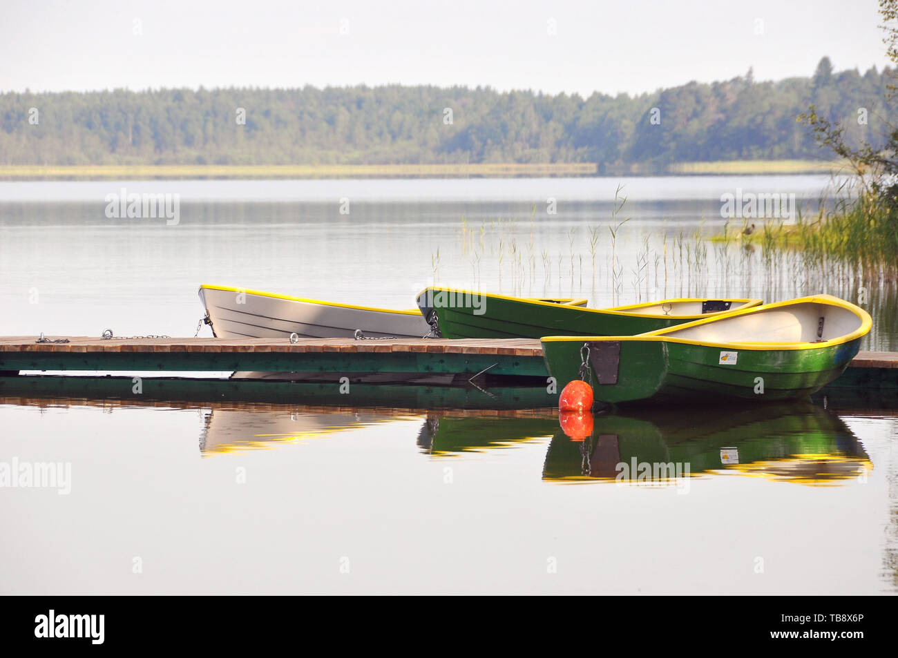 Barche sul Bear Lake, Karujärv, Medve-tó, Estonia Foto Stock