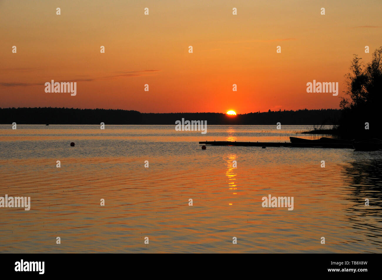 Tramonto al Bear Lake, Karujärv, Medve-tó, Estonia Foto Stock