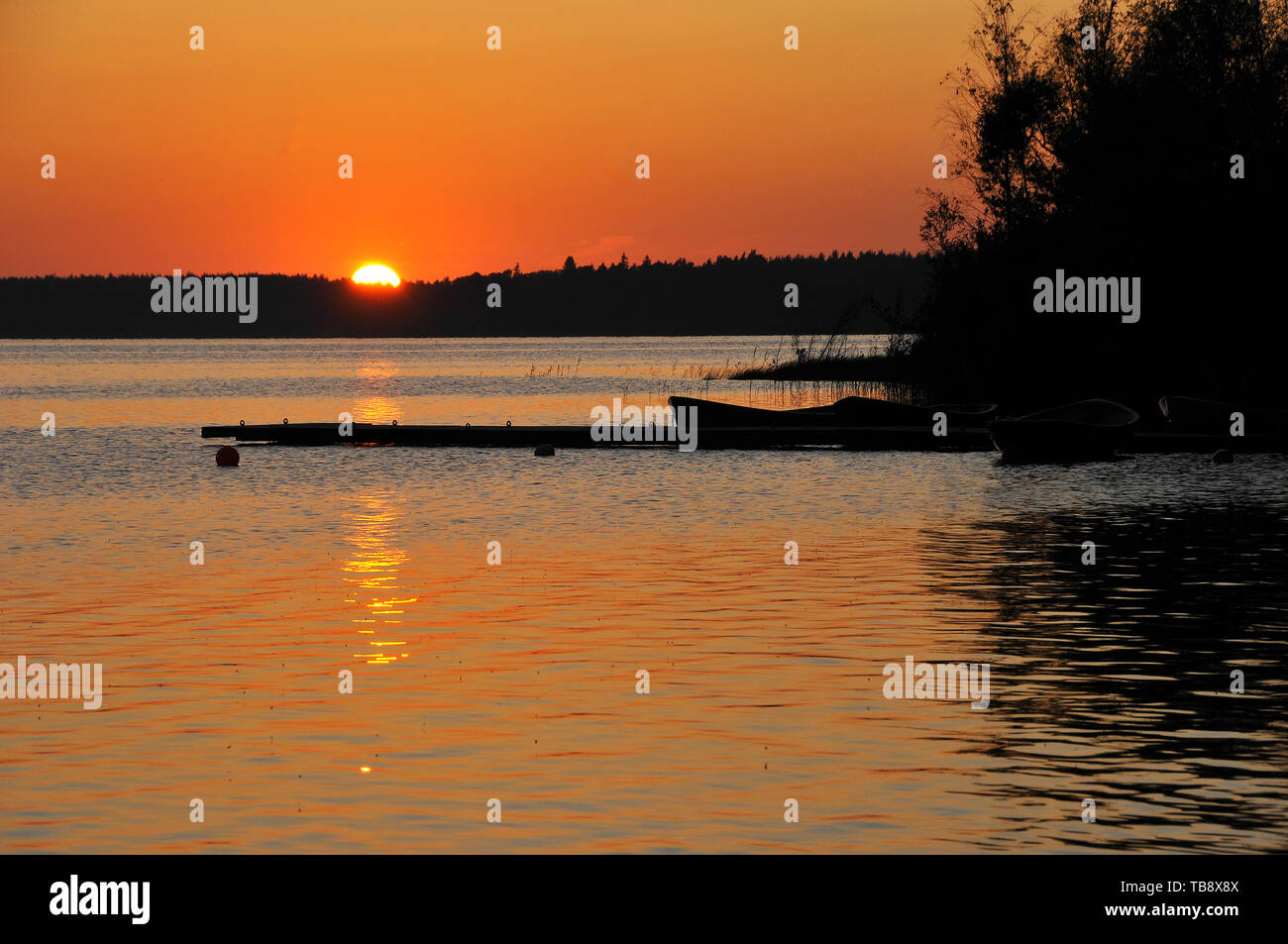 Tramonto al Bear Lake, Karujärv, Medve-tó, Estonia Foto Stock
