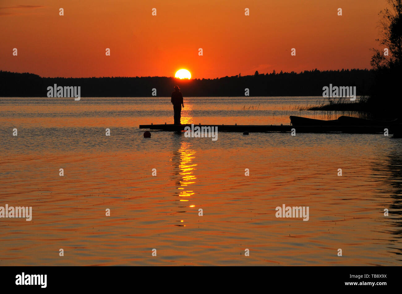 Tramonto al Bear Lake, Karujärv, Medve-tó, Estonia Foto Stock