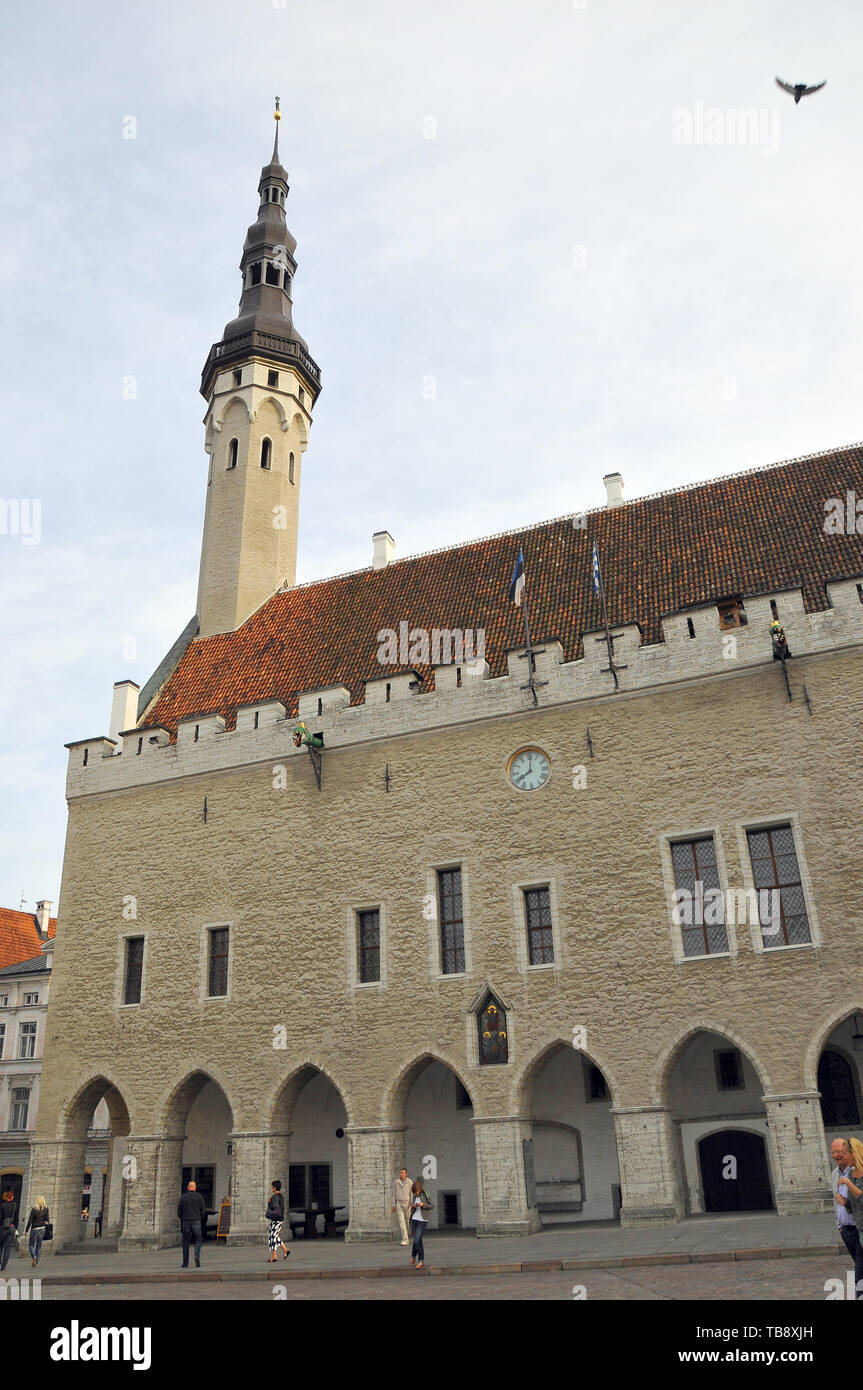 Municipio di Tallinn, Estonia Foto Stock