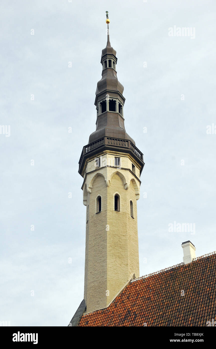 Municipio di Tallinn, Estonia Foto Stock