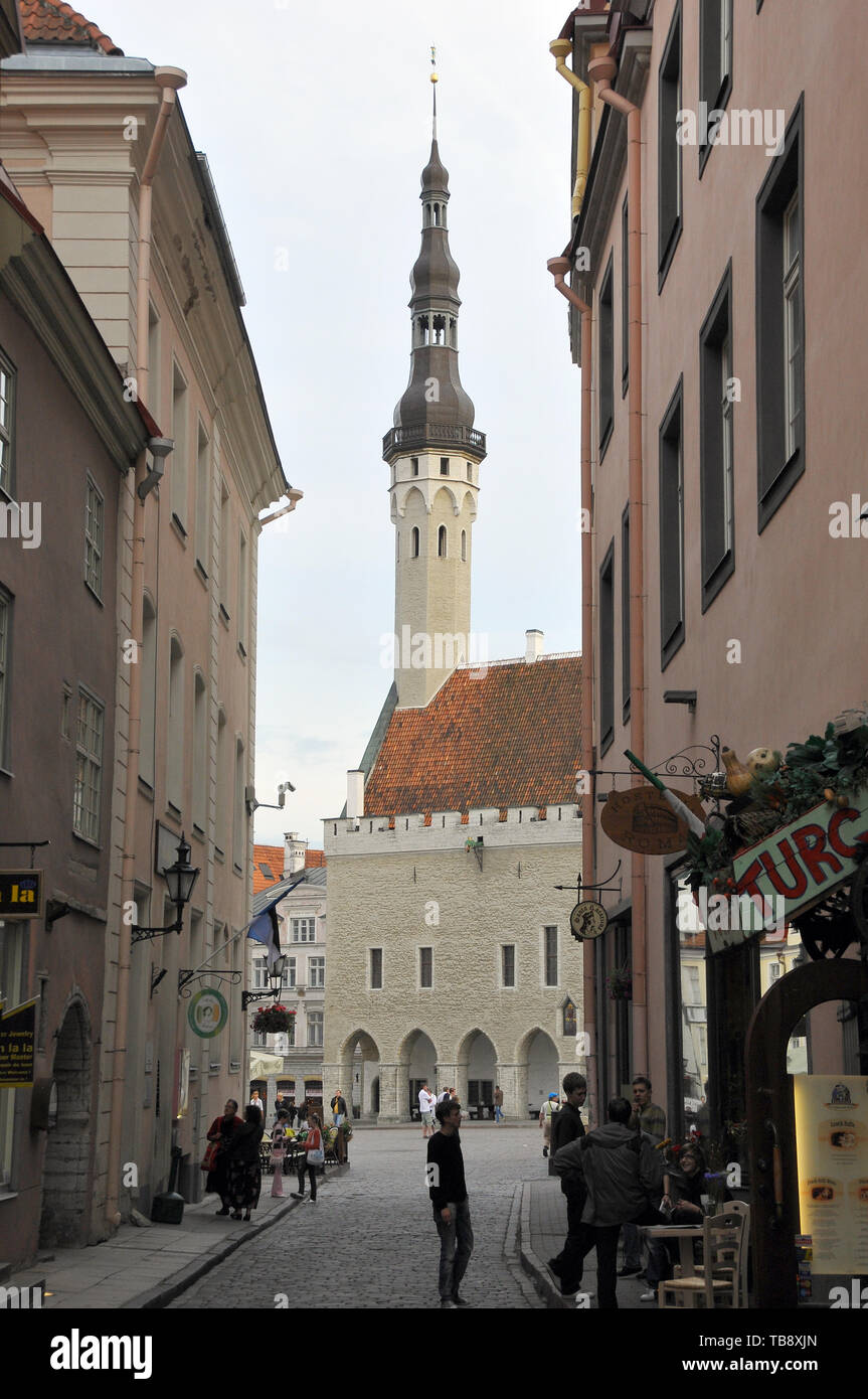Municipio di Tallinn, Estonia Foto Stock