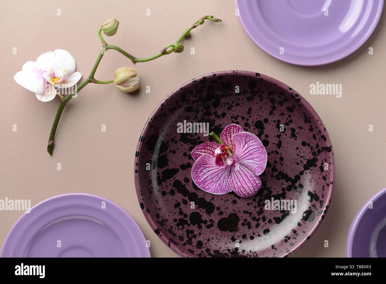 Composizione con piastre e fiori di orchidea sul tavolo Foto Stock