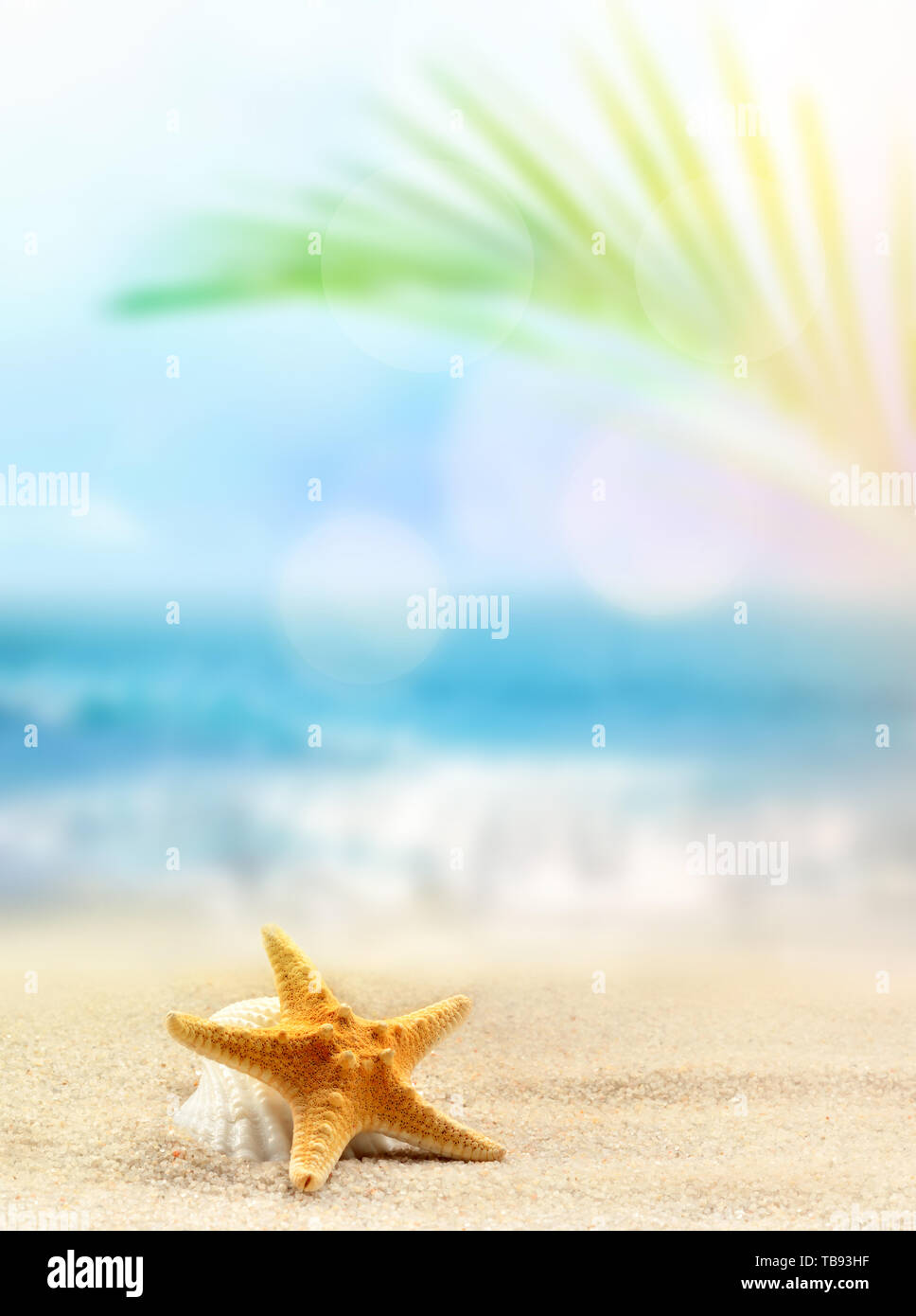 Estate spiaggia sfondo. La sabbia, di foglie di palma, stelle marine, il mare e il cielo. Concetto di estate Foto Stock