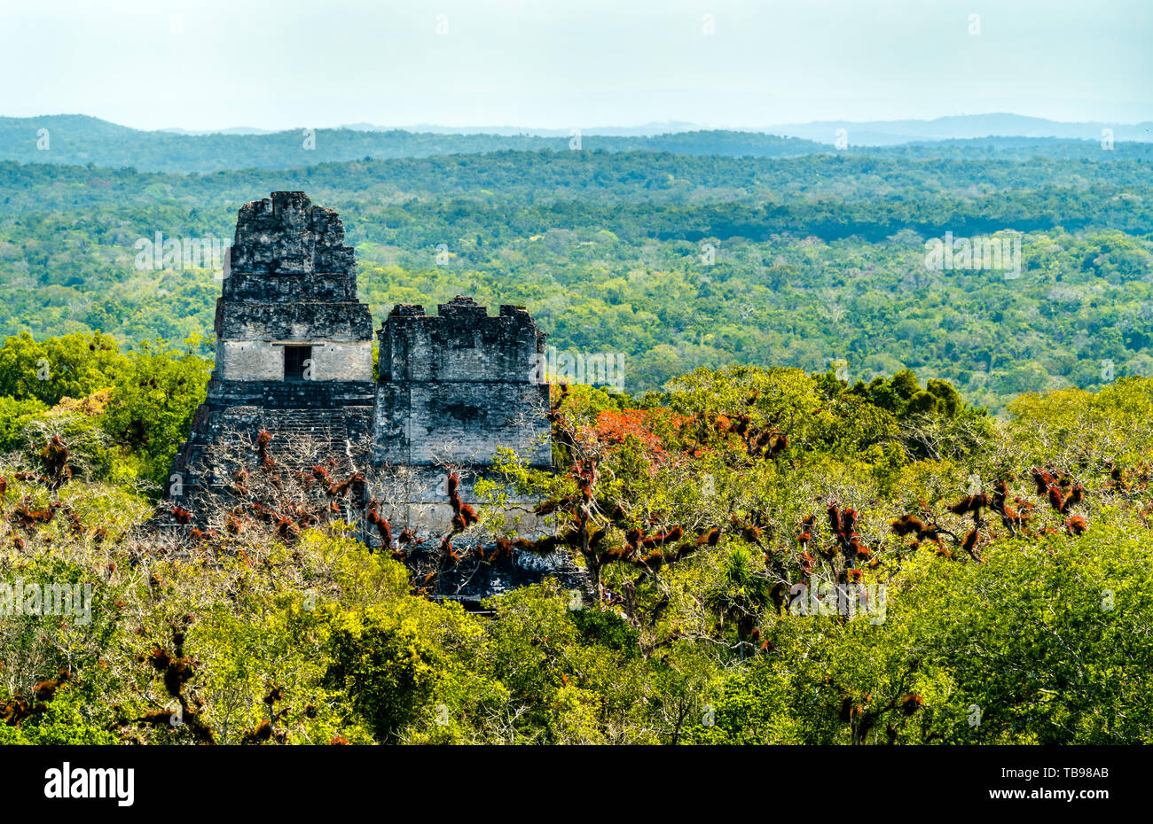 Antiche rovine maya di Tikal in Guatemala Foto Stock