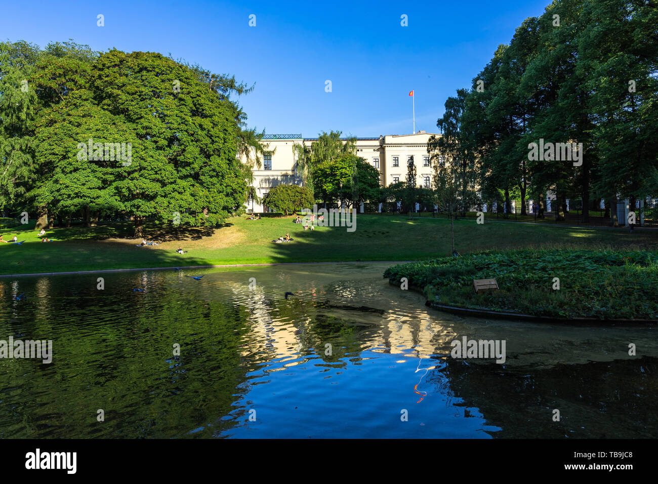 Lago presso il Parco del Palazzo (Slottsparken) in un giorno di estate, nei dintorni di Oslo Royal Palace, Norvegia Foto Stock
