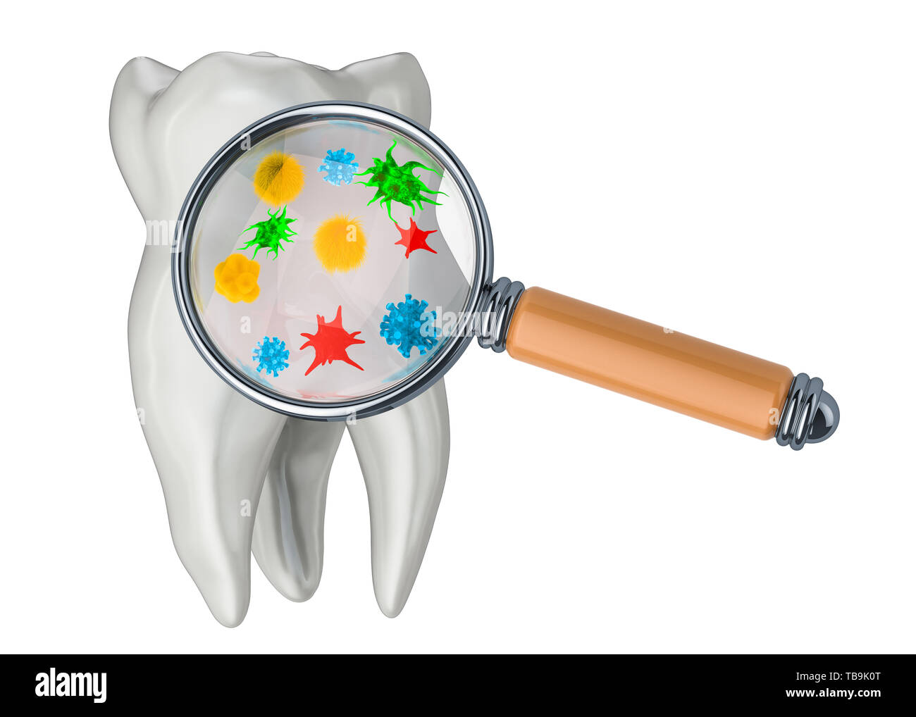 La ricerca e la diagnosi delle malattie dei denti del concetto. Dente con virus e batteri sotto la lente di ingrandimento, 3D rendering isolati su sfondo bianco Foto Stock