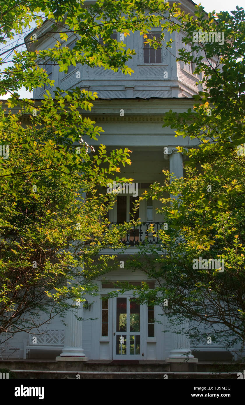 Un viale alberato conduce i visitatori a portico sul retro a Waverly Mansion di West Point, Mississippi, 20 aprile 2010. Foto Stock