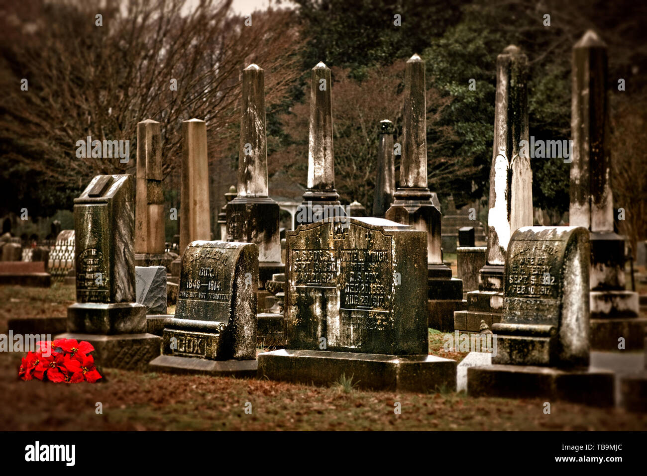 Fiori laici nella parte anteriore delle lapidi al cimitero di amicizia in Columbus, Mississippi, 31 gennaio 2011. Il cimitero fu fondata nel 1849. Foto Stock