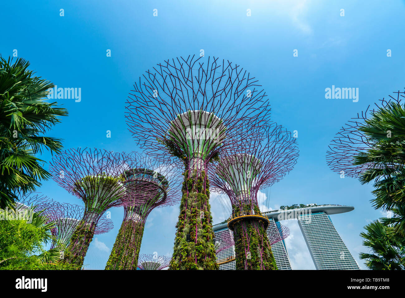Il Marina Bay giardino, Singapore Foto Stock