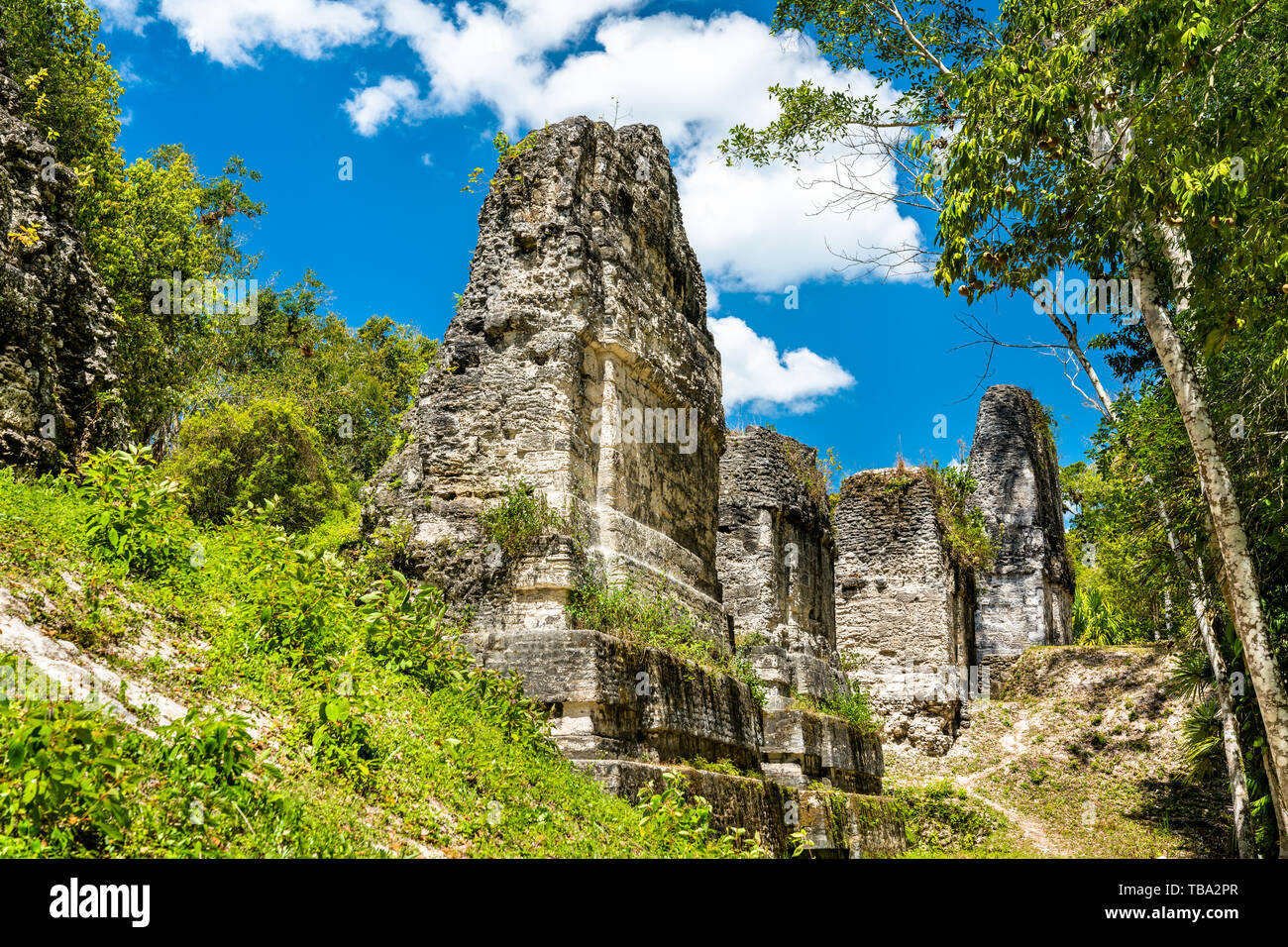 Antiche rovine maya di Tikal in Guatemala Foto Stock