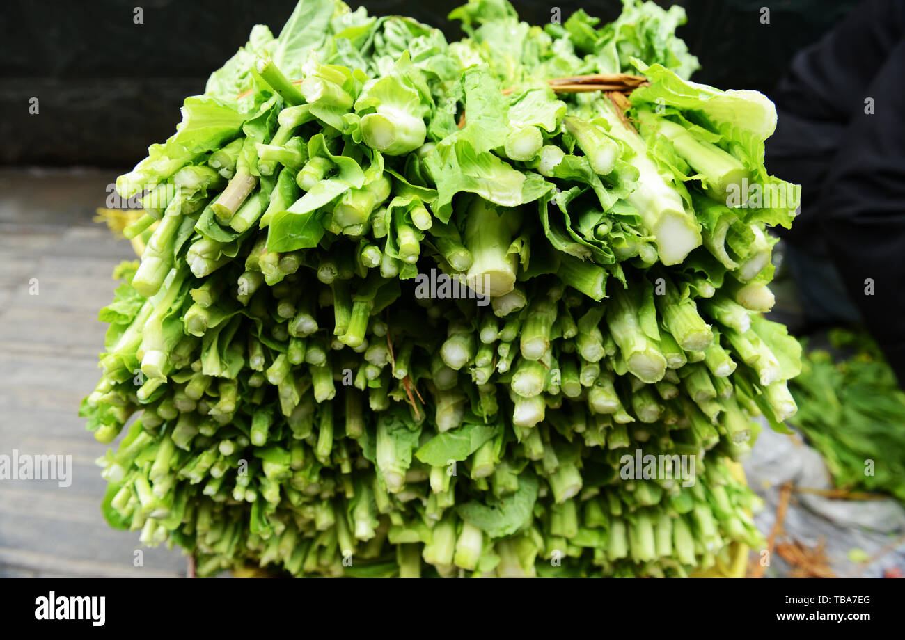 Verde cinese di ortaggi in foglia. Foto Stock