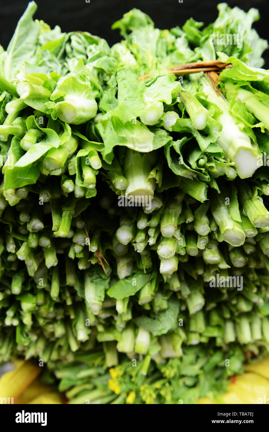 Verde cinese di ortaggi in foglia. Foto Stock