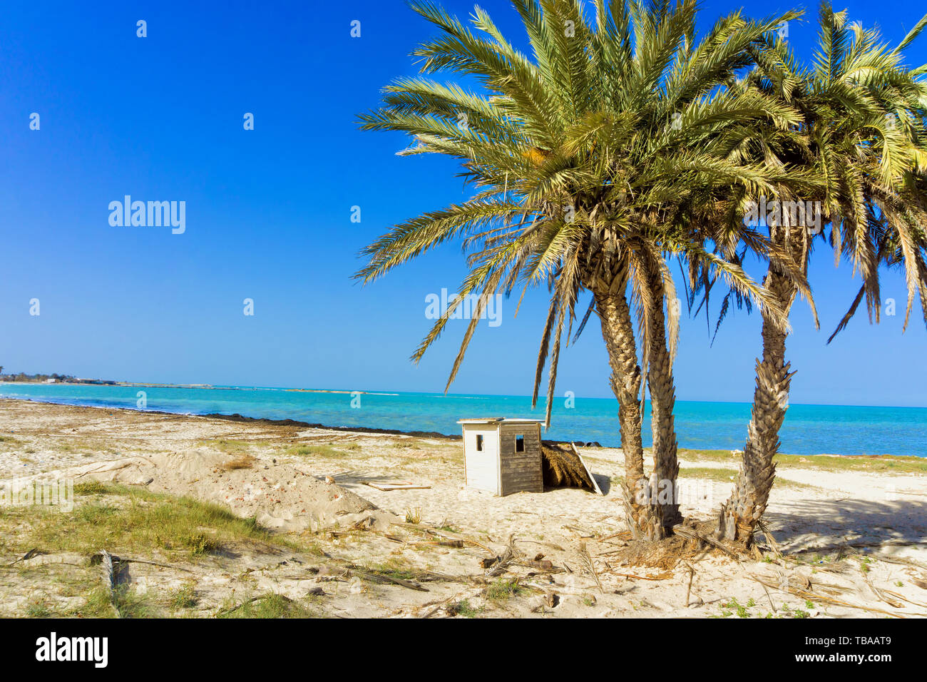 Bellissimo paesaggio del mare Mediterraneo con palme di Djerba, Tunisia Foto Stock