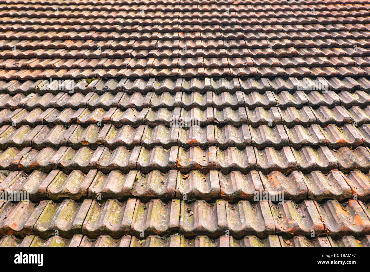 Close up della vecchia gomma tegole del tetto Foto Stock