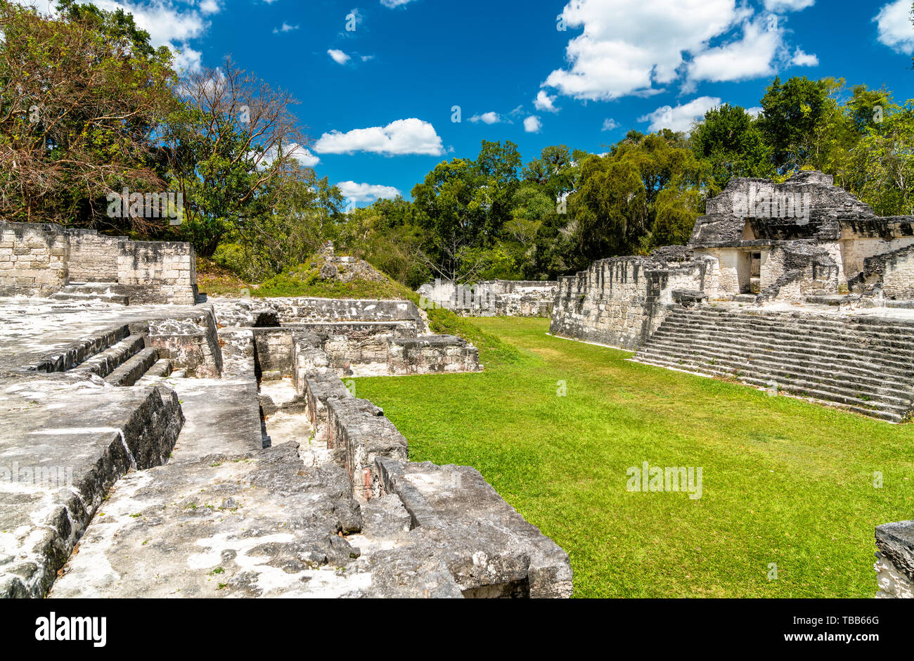 Antiche rovine maya di Tikal in Guatemala Foto Stock