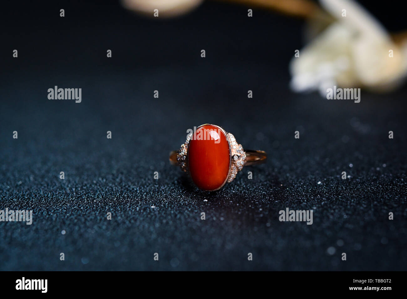 Anello di corallo. Foto Stock