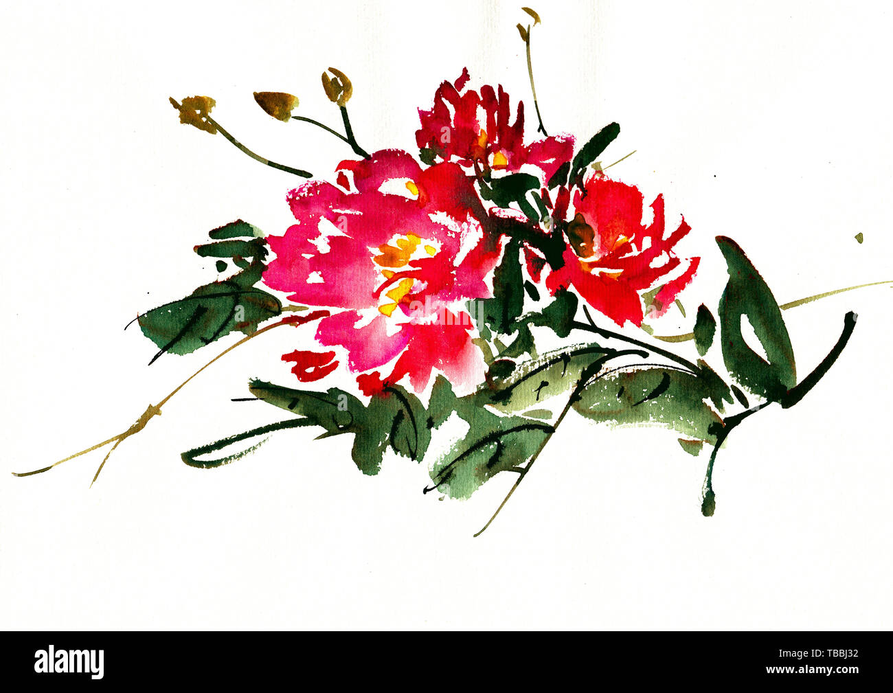 Foglie di piante e di sfondo decorativo natura bella illustrazione fiori bellissimi colori luminosi disegnati a mano cinese pittura acquerello inchiostro Foto Stock