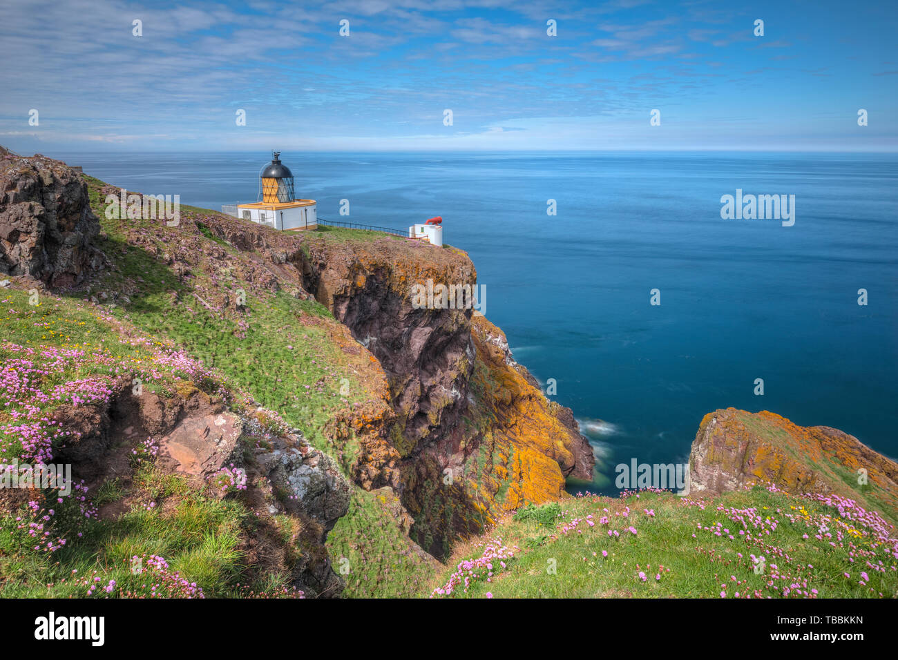 St Abbs, Berwickshire, Scotland, Regno Unito, Europa Foto Stock