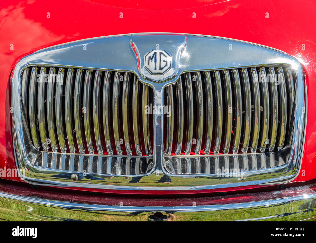 MGA 1600 MkII della griglia anteriore, rosso Foto Stock