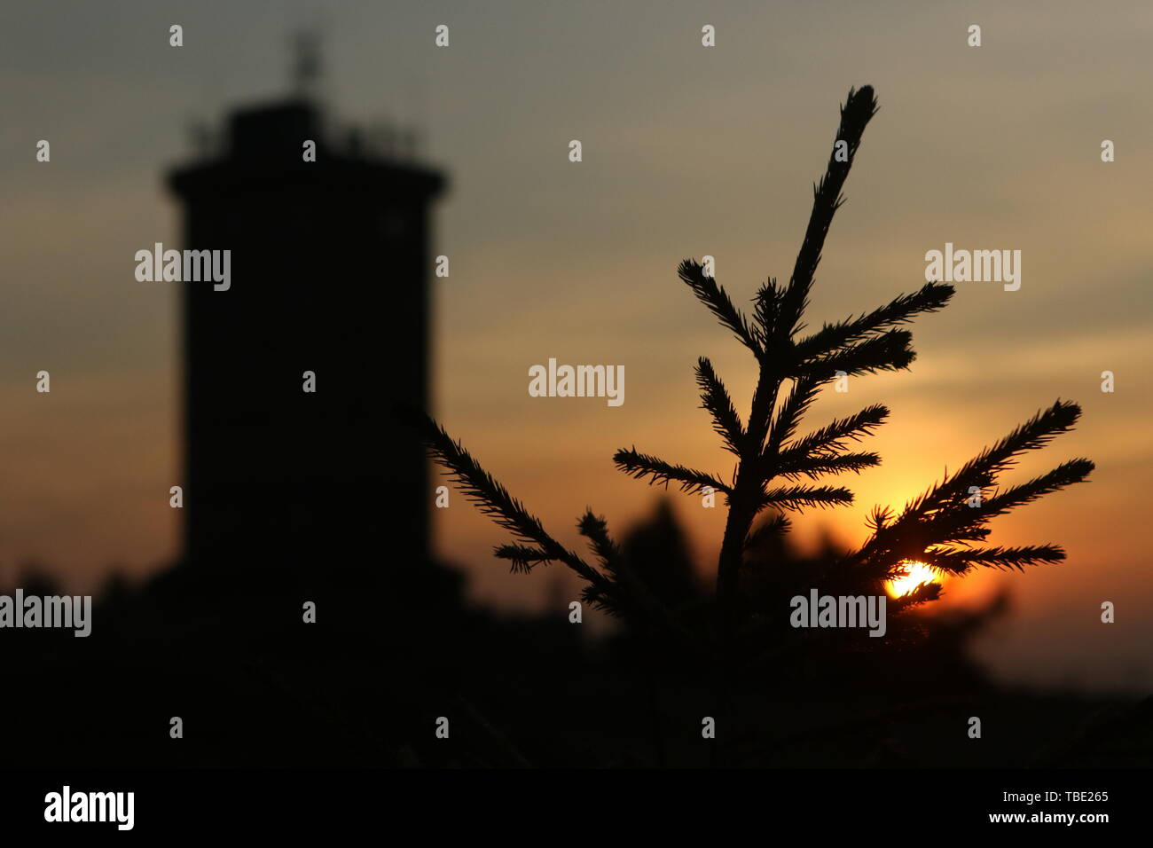 Schierke, Germania. Dal 01 Giugno, 2019. Alla luce del sole nascente la stazione meteo sorge sul Brocken. Credito: Matthias Bein/dpa-Zentralbild/ZB/dpa/Alamy Live News Foto Stock