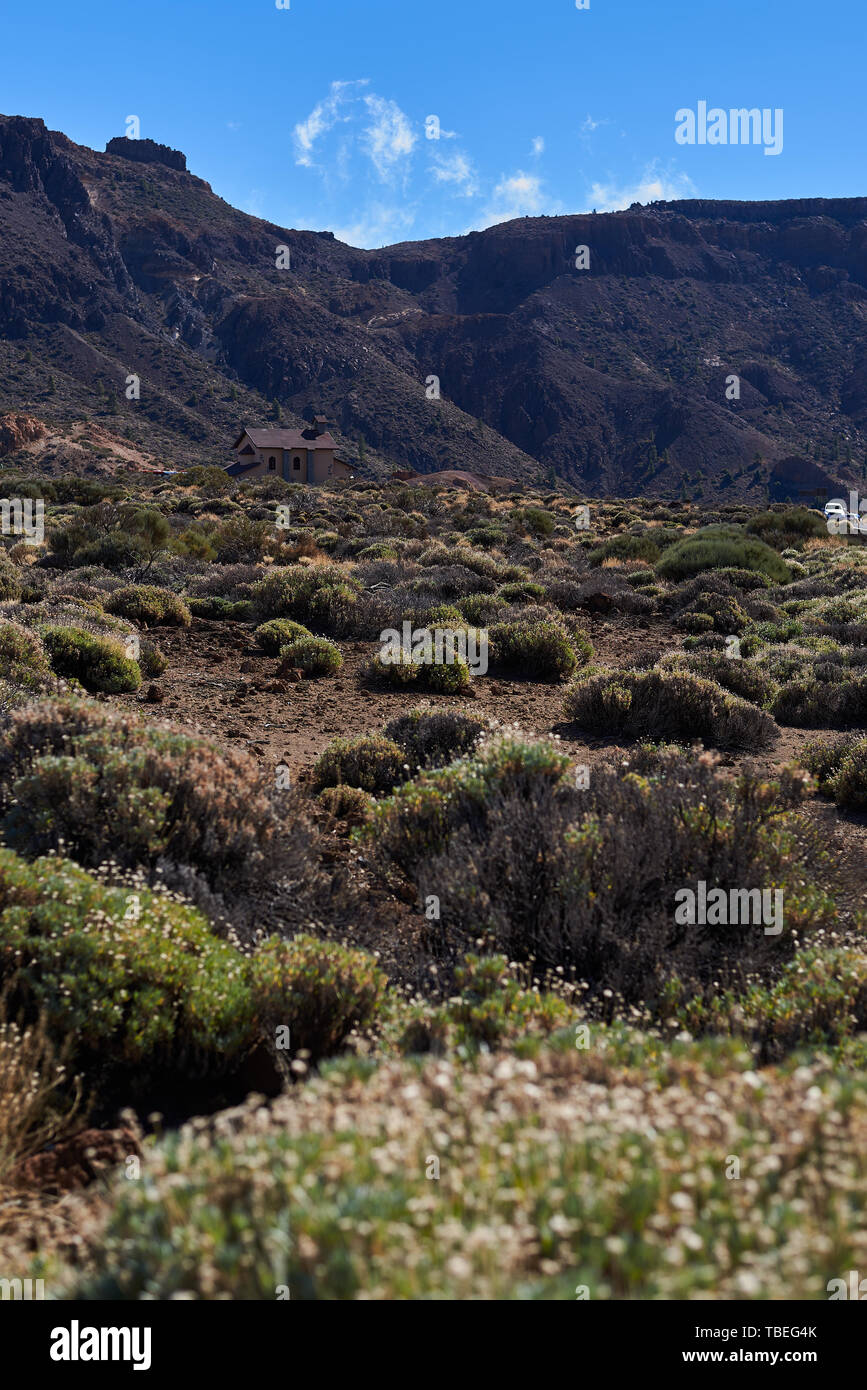 Paesaggio desertico in montagna Teide, Tenerife, Spagna Foto Stock