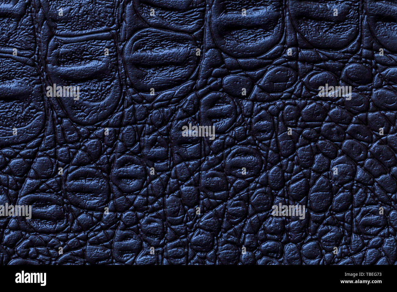 Navy Blue Pelle texture di sfondo, closeup. Dark pelle di rettile, macro. La natura della struttura tessile. Il lusso del coccodrillo sfondo decorativo. Foto Stock