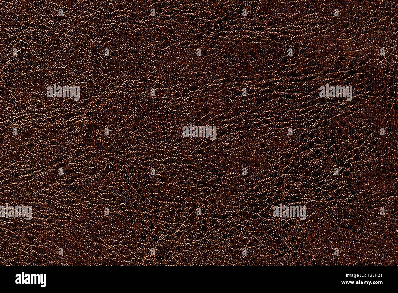 In pelle marrone scura sullo sfondo di texture, primo piano. Bronzo sfondo incrinate dalla pelle antirughe, la struttura del tessuto. Foto Stock