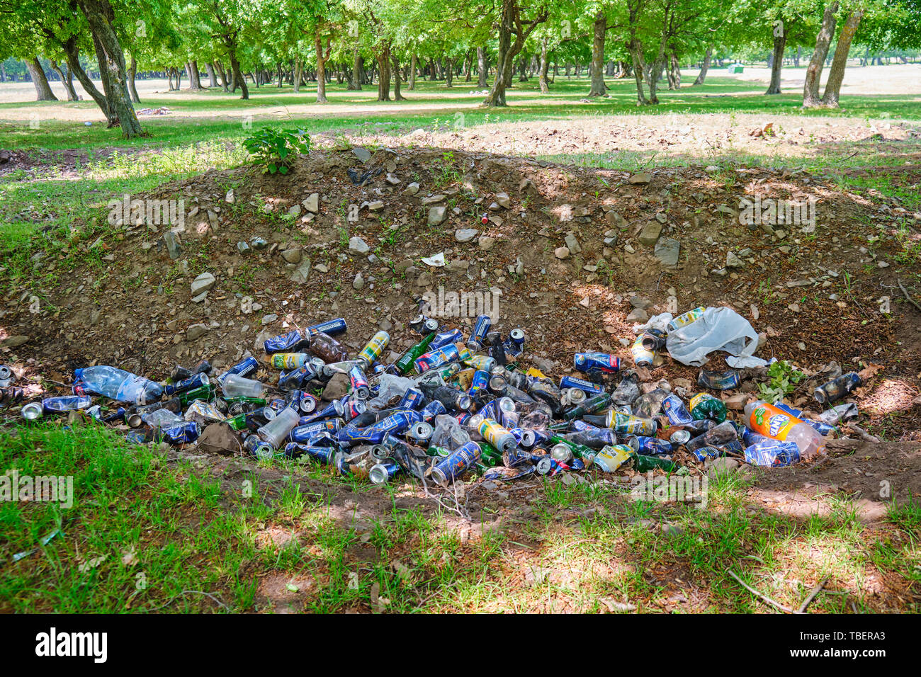 Dobrogea, Romania - 19 Maggio 2019: l'uomo fatto di garbage palo in natura. Birra di alluminio e lattine di soda e un paio di bottiglie di plastica gettati a terra in un p Foto Stock