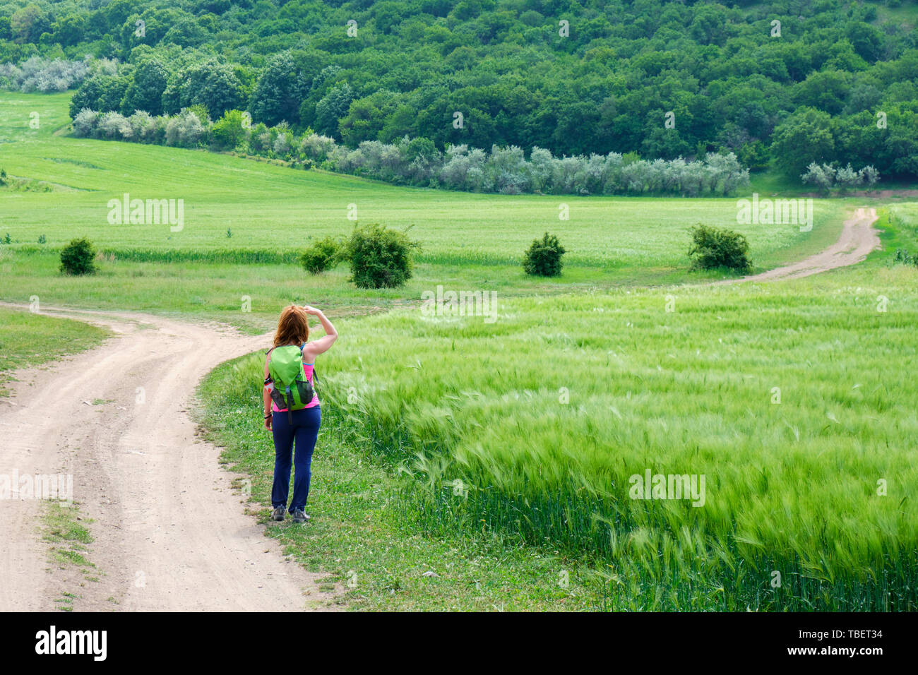 Giovane donna guardando in lontananza - monti Macin, Dobrogea, Romania, all'inizio del percorso chiamato Cozluk. Strati di segala e il campo di grano Foto Stock