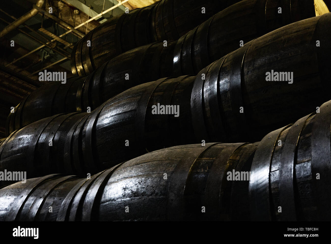 Vecchie botti in legno di whiskey o di vino impilati in cantina Foto Stock