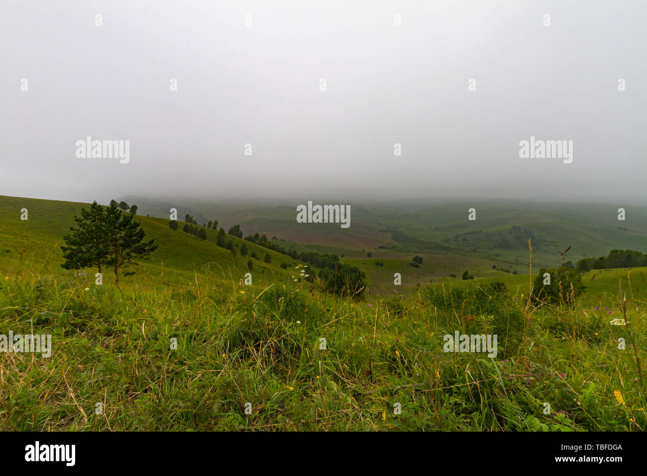 Vista panoramica di una valle di montagna estate, luce morbida, nebbia. Montagne di Altai. Foto Stock