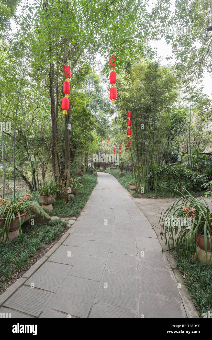 Foresta di Bamboo prugna Fiore strada prato in primavera a Chengdu, Cina Foto Stock